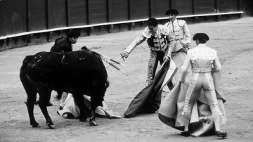 Corrida • <a style="font-size:0.8em;" href="http://www.flickr.com/photos/93987314@N06/8764471139/" target="_blank">View on Flickr</a>