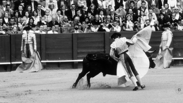 Corrida • <a style="font-size:0.8em;" href="http://www.flickr.com/photos/93987314@N06/8767095770/" target="_blank">View on Flickr</a>