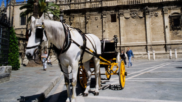 Andalucia • <a style="font-size:0.8em;" href="http://www.flickr.com/photos/93987314@N06/8787167412/" target="_blank">View on Flickr</a>