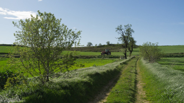 Camino de Santiago • <a style="font-size:0.8em;" href="http://www.flickr.com/photos/93987314@N06/8794396246/" target="_blank">View on Flickr</a>