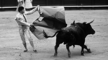 Corrida • <a style="font-size:0.8em;" href="http://www.flickr.com/photos/93987314@N06/8764395911/" target="_blank">View on Flickr</a>