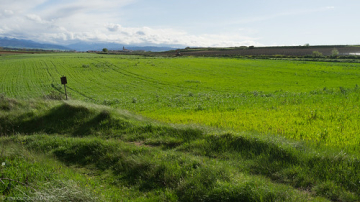 Camino de Santiago • <a style="font-size:0.8em;" href="http://www.flickr.com/photos/93987314@N06/8794410876/" target="_blank">View on Flickr</a>