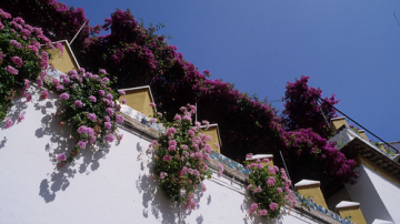 Andalucia • <a style="font-size:0.8em;" href="http://www.flickr.com/photos/93987314@N06/8780343163/" target="_blank">View on Flickr</a>