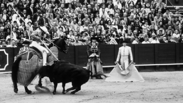Corrida • <a style="font-size:0.8em;" href="http://www.flickr.com/photos/93987314@N06/8767086810/" target="_blank">View on Flickr</a>