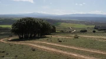 Camino de Santiago • <a style="font-size:0.8em;" href="http://www.flickr.com/photos/93987314@N06/8783916965/" target="_blank">View on Flickr</a>