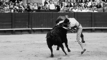 Corrida • <a style="font-size:0.8em;" href="http://www.flickr.com/photos/93987314@N06/8764421591/" target="_blank">View on Flickr</a>