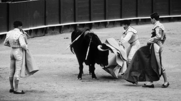 Corrida • <a style="font-size:0.8em;" href="http://www.flickr.com/photos/93987314@N06/8764373087/" target="_blank">View on Flickr</a>